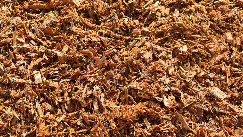 Gold Mulch